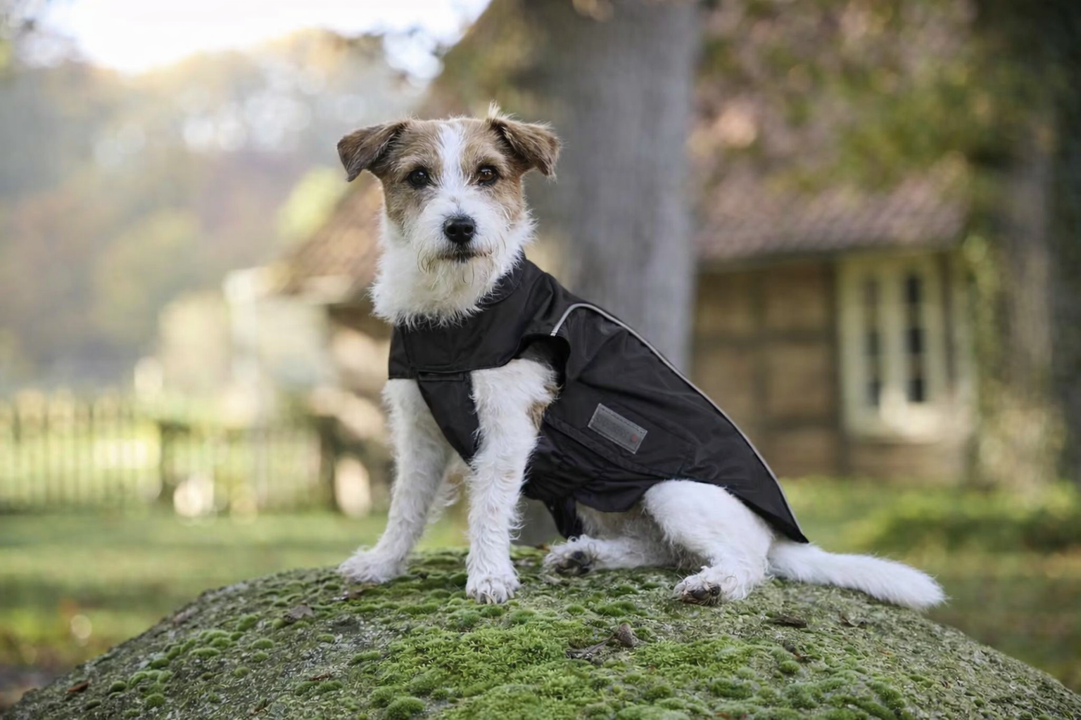 easy-rain-dog-jacket-black.jpg