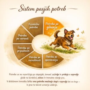 sistem potreb psa